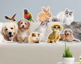 Benutzerdefiniertes Haustierkissen, personalisiertes Haustierkissen, 3D-Kissen von Pet Photo Haustier-Katzenkissen, individuell, 3D-Formkissen