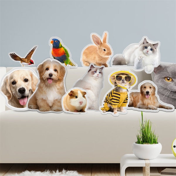 Benutzerdefiniertes Haustierkissen, personalisiertes Haustierkissen, 3D-Kissen von Pet Photo Haustier-Katzenkissen, individuell, 3D-Formkissen