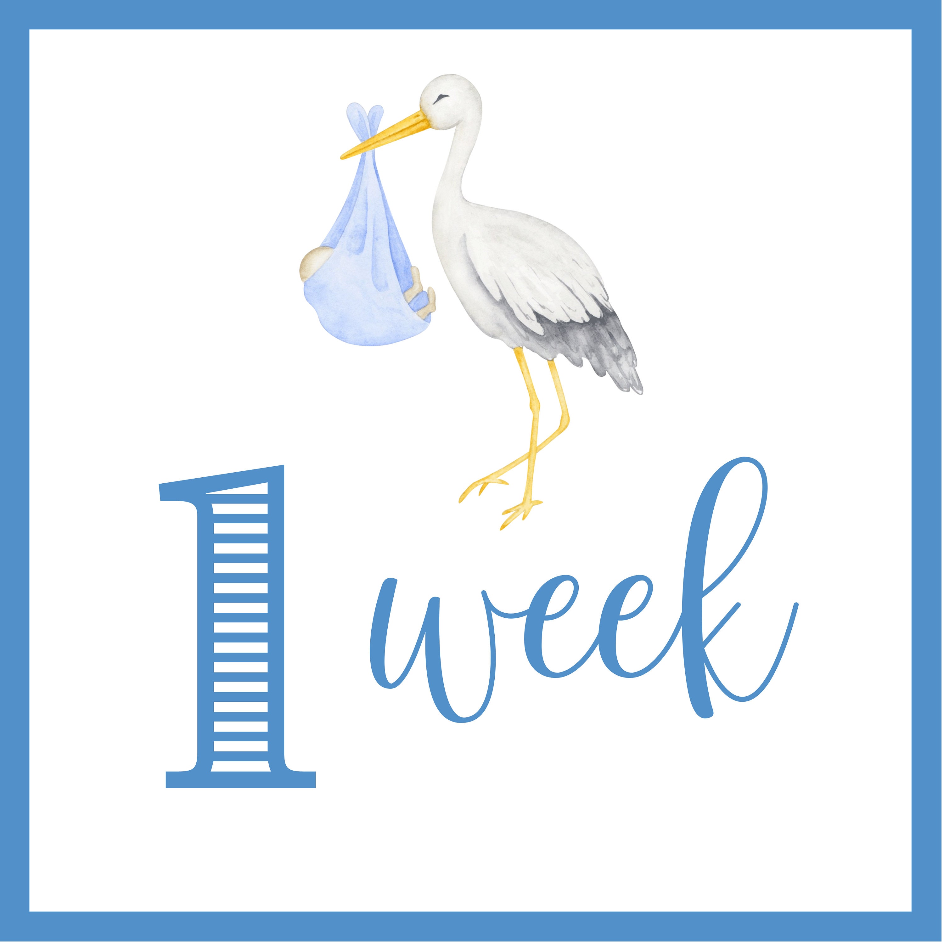 Baby Boy Milestone Cards | Printable File, Digital Download | 13 Cards ...