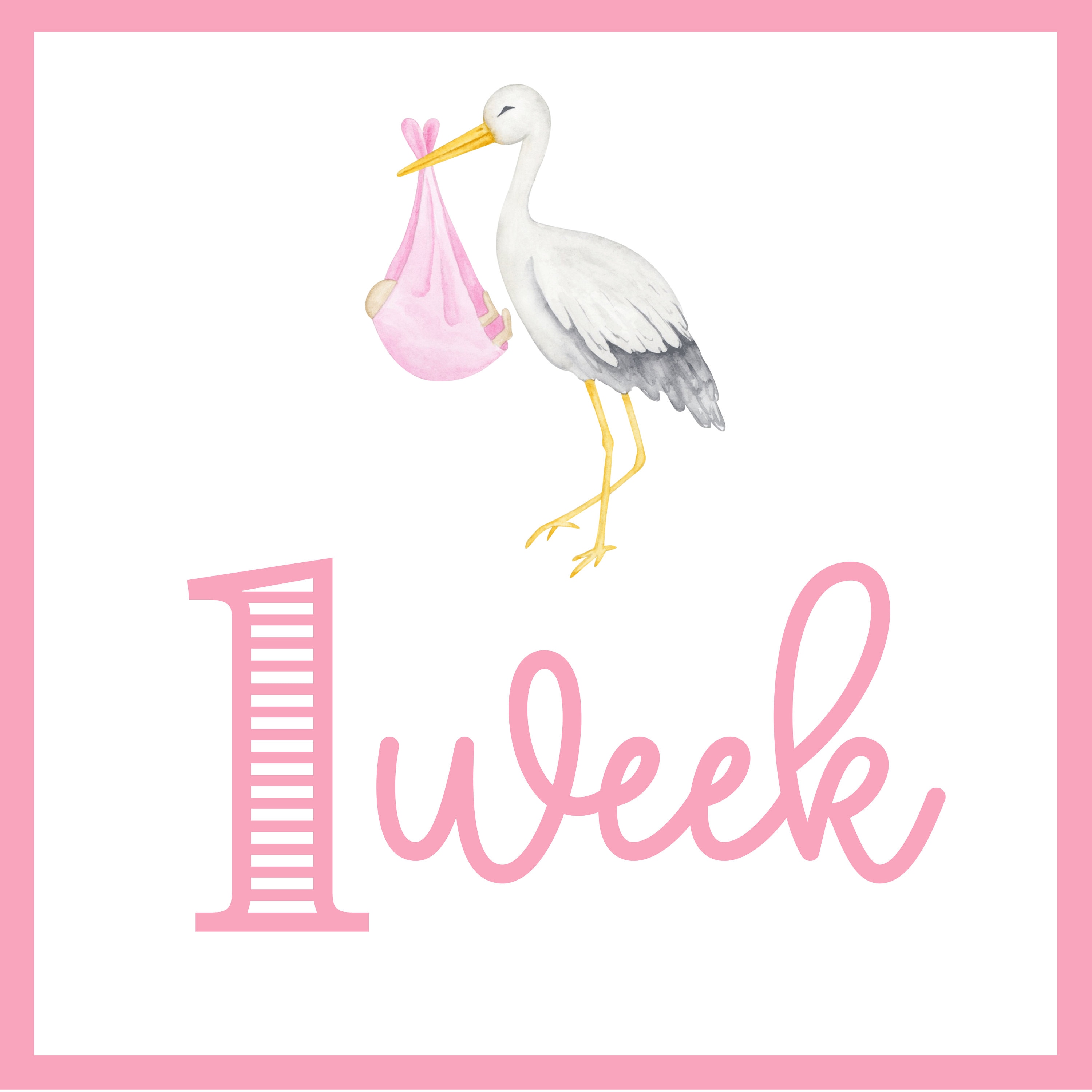 Baby Girl Milestone Cards | Printable File, Digital Download | 13 Cards ...