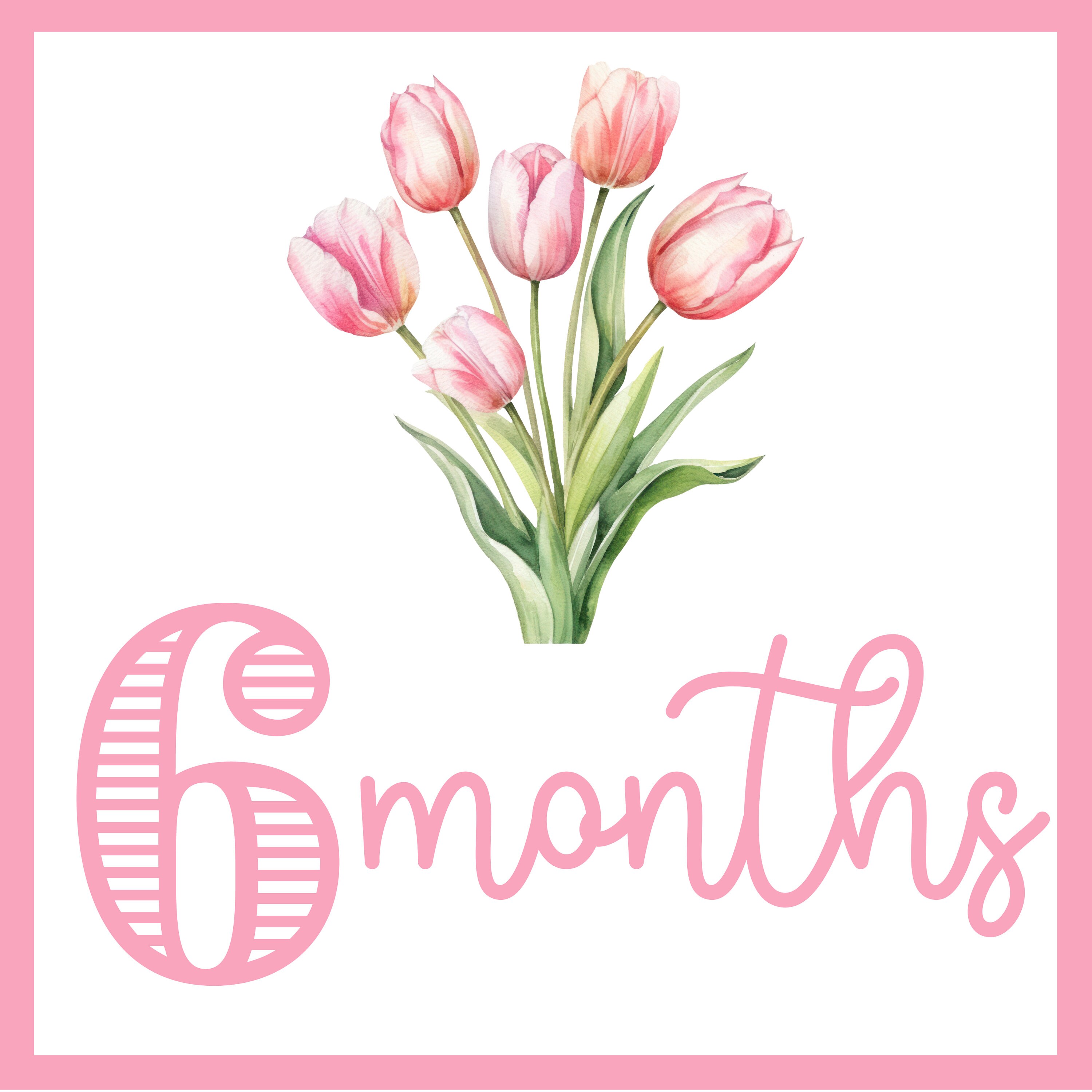 Baby Girl Milestone Cards | Printable File, Digital Download | 13 Cards ...