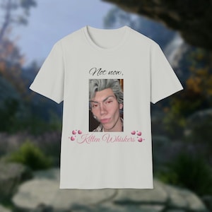 Astarion Not Now Kitten Whiskers Pookie Bear Meme Funny Cybercore Y2K