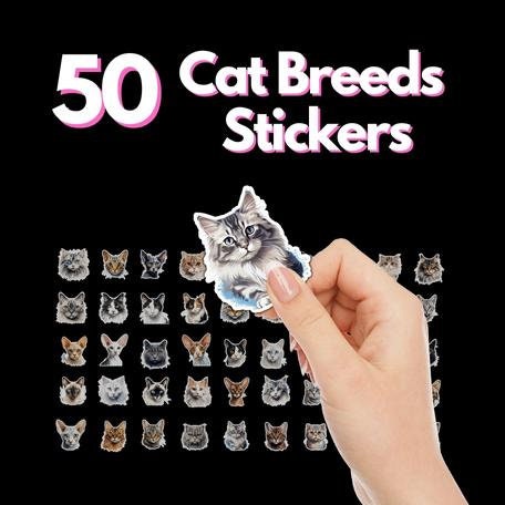Cute Cat Stickers, 12 Different Breeds Print and Cut Digital PNG Sticker  Sheets, 24 Different Designs, Fun Kitten Stickers, Instant Download 