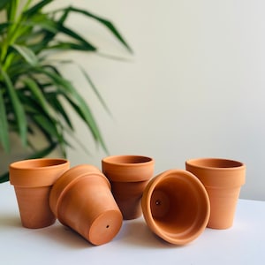 May include: Five terracotta pots of various sizes, arranged on a white surface. The pots are unglazed and have a natural brown color.