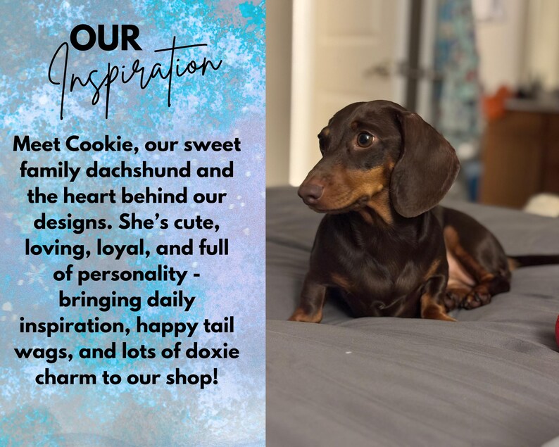 May include: A brown and black dachshund dog resting on a gray surface. The image includes text that reads: OUR Inspiration. Meet Cookie, our sweet family dachshund and the heart behind our designs. She&rsquo;s cute, loving, loyal, and full of personality.