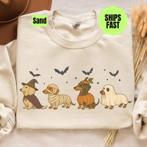 May include: A sand-colored crewneck sweatshirt featuring a graphic of four dachshunds in Halloween costumes: a witch, a mummy, a pumpkin, and a ghost. The design includes small black bats and stars above the dogs. The text Sand is visible.