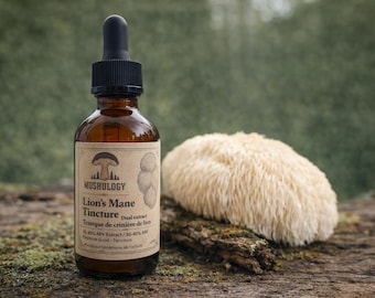 Lion’s Mane Tincture Dual Extract | Cognitive Support | Focus & Clarity | Mushroom Extract | Herbal Supplement | Small Batch
