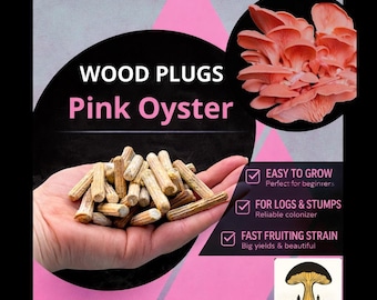 Pink Oyster Wood Plugs - Mushroom Cultivation Supplies (100 Units)