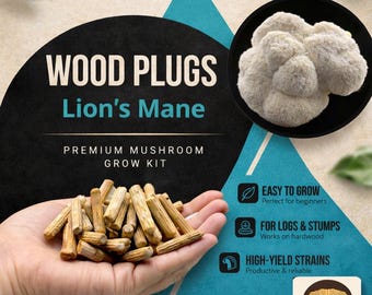 Houten pluggen Lions Mane - benodigdheden voor het kweken van paddenstoelen (100 stuks)