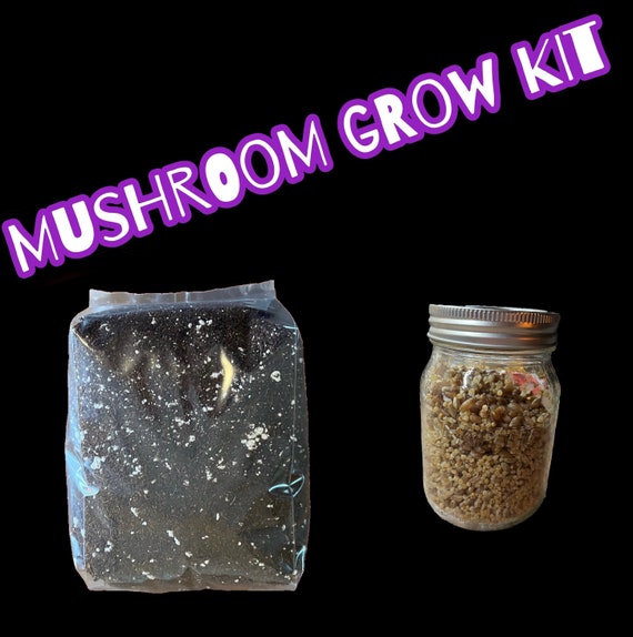 Mushroom grow kit