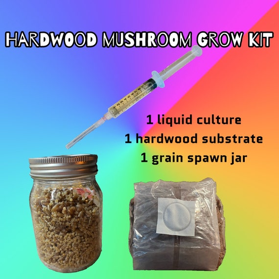Mushroom grow kit ( hardwood loving species)