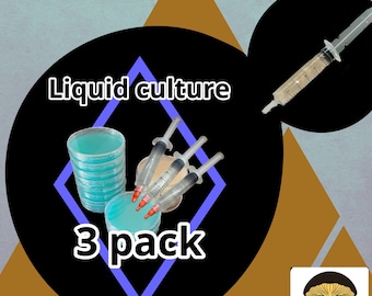 Set of 3 Mushroom Liquid Culture Starters- Grow mushroom DIY cultivation