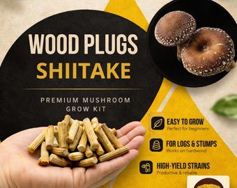 Houten pluggen voor shiitake-paddenstoelen – 100 stuks inentingskit voor houtblokken