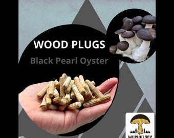 Black Pearl Oyster Wood Plugs - Mushroom Cultivation Supplies (100 Units)
