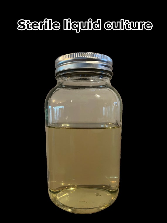 Sterilized liquid culture base