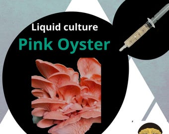 Premium Pink Oyster Mushroom Liquid Culture for Grain Spawn Inoculation- Grow mushrooms indoors