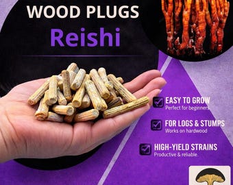 Reishi-paddenstoelenpluggen – 100 houtstekkers, inenting houtblokken