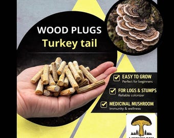 Houten pluggen kalkoenstaartpaddestoel: kweekset van 100 stuks