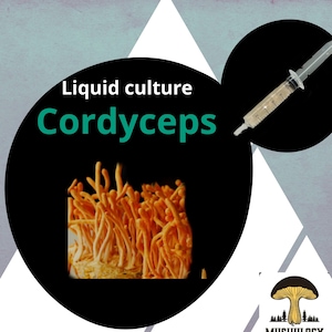 Organic Cordyceps Mushroom Liquid Culture for Grain Spawn Inoculation- Grow mushrooms indoors