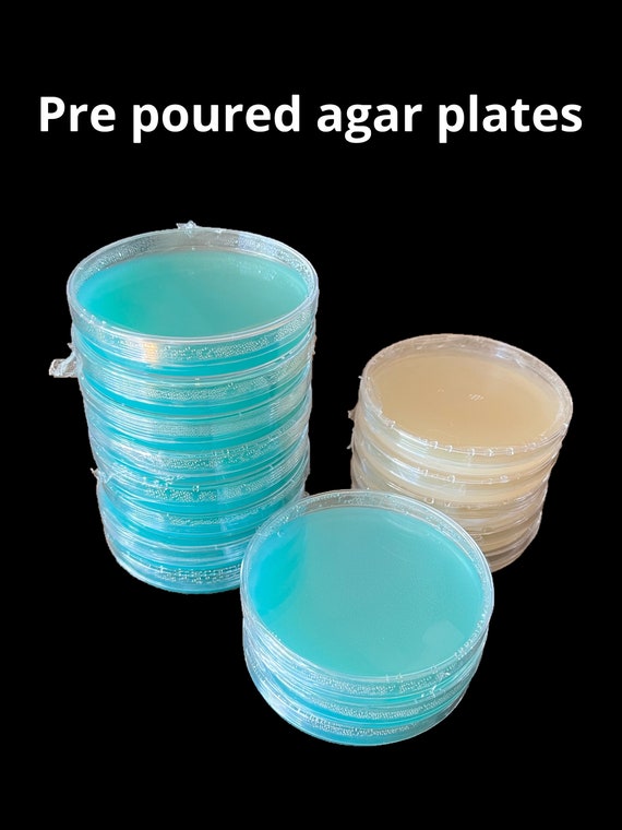 Pre poured agar plates