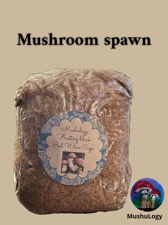 Mushroom spawn fruiting block