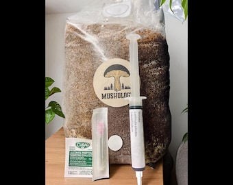 Kit de cultivo de hongos todo en uno: sustrato de madera dura y cultivo líquido para hongos. Cultivo de hongos.