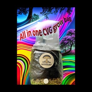 Pilz All-in-One CVG Pilz-Grow Bag Kit - Züchten Sie Ihre eigenen Pilze einfach DIY Pilz-setup -Geschenk für Gärtner