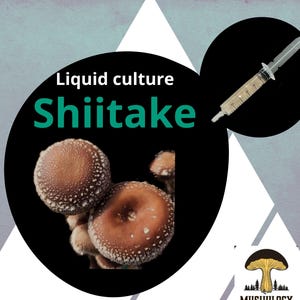 Premium Shiitake Mushroom Liquid Culture for Grain Spawn Inoculation- Grow mushrooms indoors