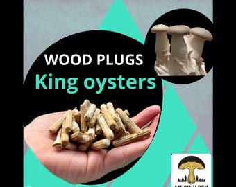 Houten pluggen voor King-oesterzwammen: inentingsset voor 100 stammen