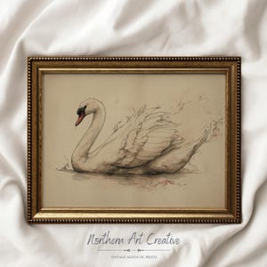 Vintage Swan Print: Printable Sketch Wall Art (DIGITAL DOWNLOAD)