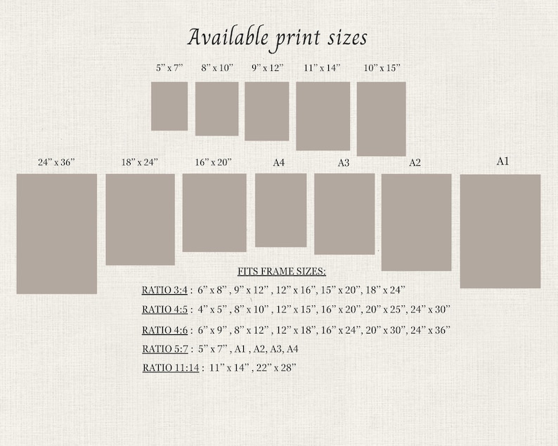 K&ouml;nnte beinhalten: Eine beige Informationstabelle mit dem Titel Available print sizes, die verschiedene rechteckige Abmessungen in Zoll anzeigt, darunter 5x7, 8x10, 9x12, 11x14, 10x15, 24x36, 18x24, 16x20, A4, A3, A2, A1 sowie eine Liste von Rahmengr&ouml;&szlig;en, kategorisiert nach den Verh&auml;ltnissen 3:4, 4:5, 4:6, 5:7 und 11:14.