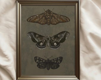 Vintage Dark Moths Wall Art Print: Rustic Cottagecore Decor (Digital Download), Farmhouse Wall Decor