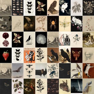 Puede incluir: Un collage de 100 im&aacute;genes peque&ntilde;as que presentan varios animales, plantas y dise&ntilde;os abstractos. Las im&aacute;genes est&aacute;n dispuestas en una cuadr&iacute;cula y presentan una variedad de colores y estilos.