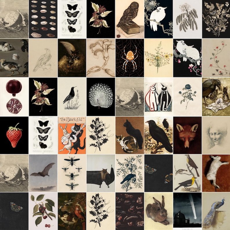 Puede incluir: Un collage de 100 im&aacute;genes peque&ntilde;as que presentan varios animales, plantas y dise&ntilde;os abstractos. Las im&aacute;genes est&aacute;n dispuestas en una cuadr&iacute;cula y presentan una variedad de colores y estilos.