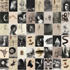 Puede incluir: Un collage de 36 im&aacute;genes en blanco y negro, cada una representando una escena surrealista y abstracta diferente. Las im&aacute;genes incluyen una calavera, una rana, una serpiente, un esqueleto, una mariposa, una polilla, una lib&eacute;lula, un rat&oacute;n, un ojo humano y una figura humana.