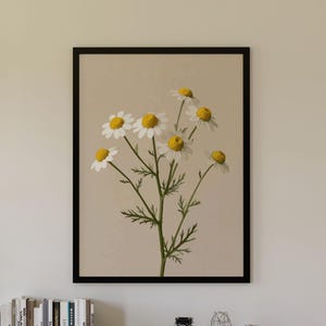 May include: A light wood sideboard with two drawers and two cabinets, topped with a driftwood sculpture, books, a camera, and two glass ornaments. Above, a framed botanical print of white daisies hangs next to a black wire spherical pendant light.