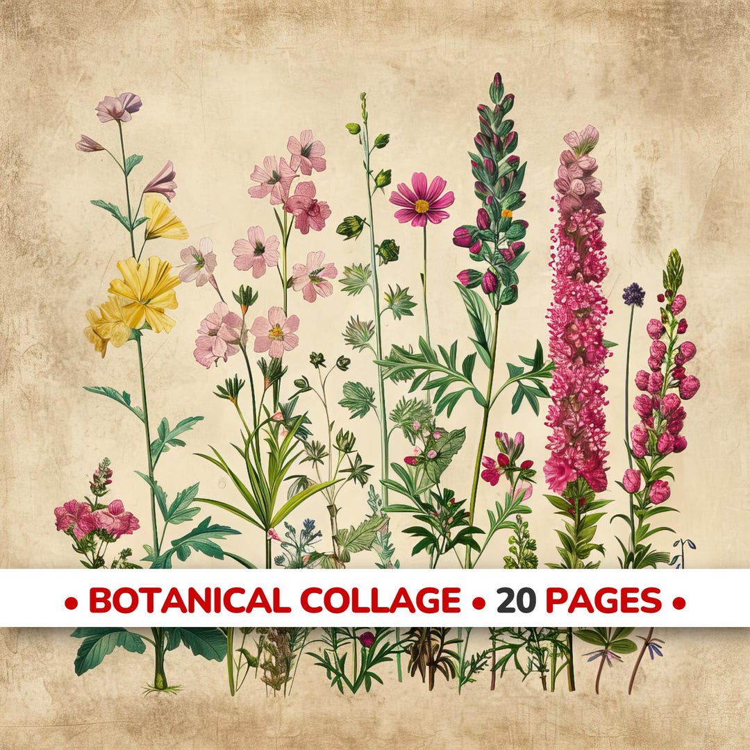 Vintage Botanical Collage Paper Printable, Herbarium Journal Pages ...