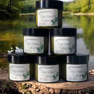 Plantain Salve with Tea Tree Oil