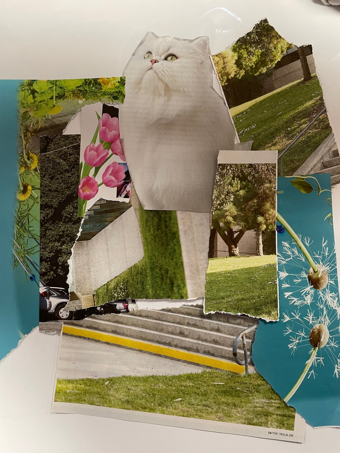 Magazine Cut Outs - Etsy