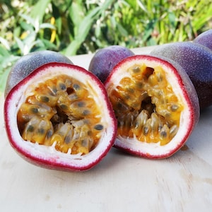 IN SEASON NOW! - Passion Fruit