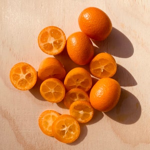 STILL GROWING - KUMQUATS - Season February 2026