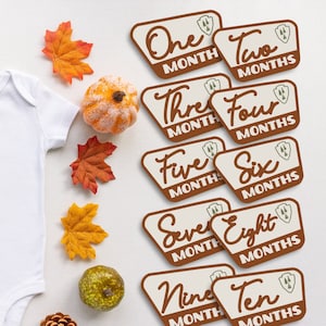 National Park Inspired Baby Milestone Markers Printables | National Park Nursery | Camping baby decor | National Park Sign