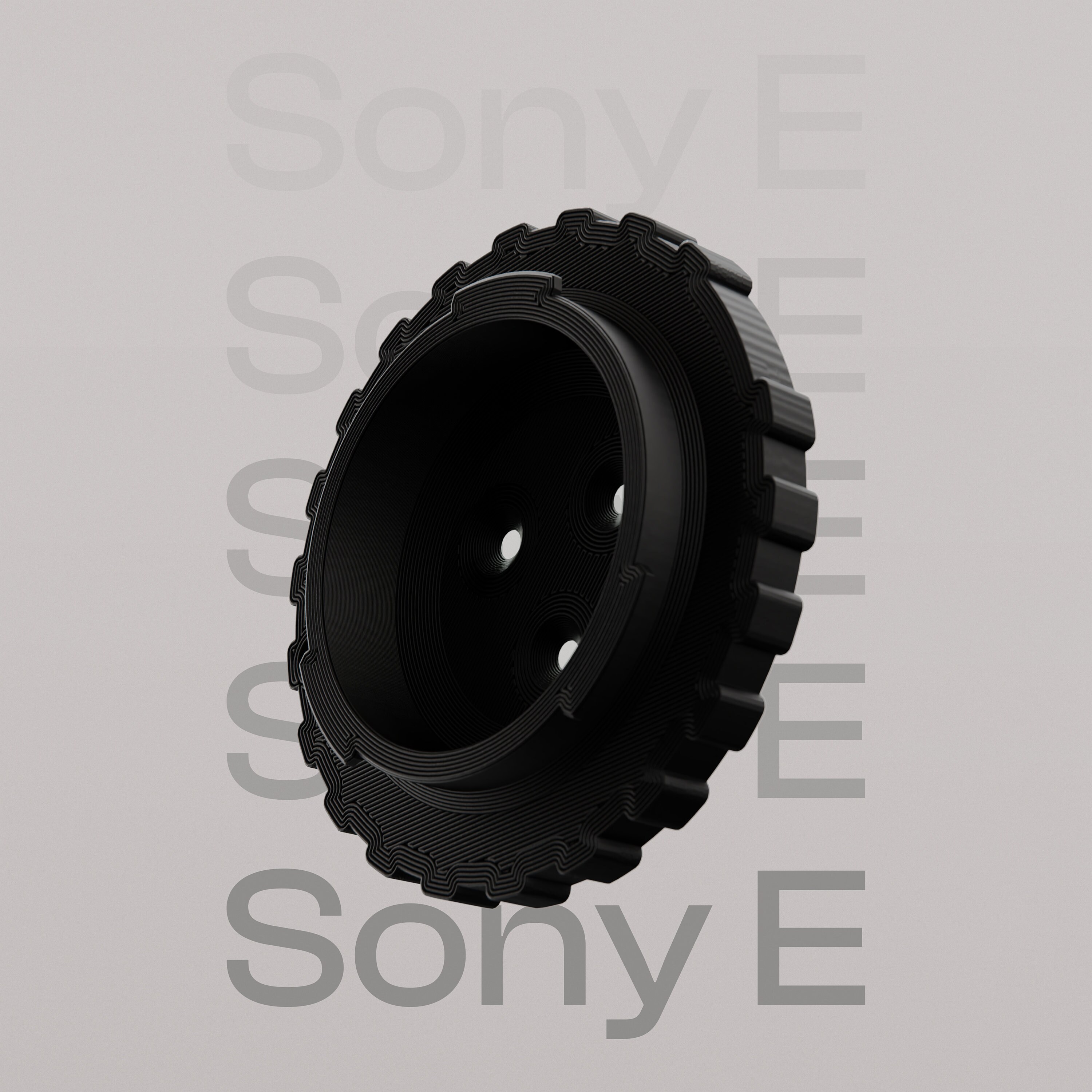 SONY Eマウント トリプルレンズ il_fullxfull.5716870170_bxi1.jpg