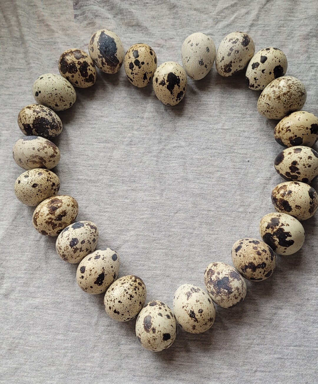 Frozen Quail Eggs Etsy