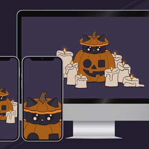 Pumpkin Cat Wallpapers HD | Autumn Halloween Background