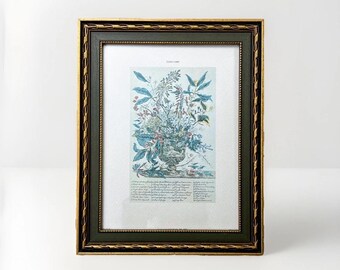 Vintage Botanical Lithograph Robert Furber 12 Months of Flowers January 9.5x7.5