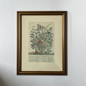 Vintage Framed Botanical Lithograph Robert Furber 12 Months of Flowers • JULY 13.5 x 10.5