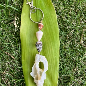 Shell keychain