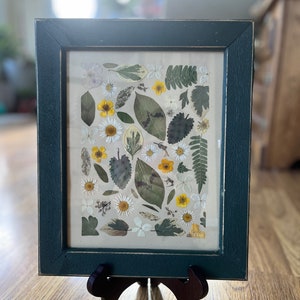 May include: A framed botanical art piece featuring an assortment of pressed flowers and leaves. The dark green frame surrounds a beige background with various shapes and sizes of dried flora, including daisies and ferns. The artwork is displayed on a wooden easel.
