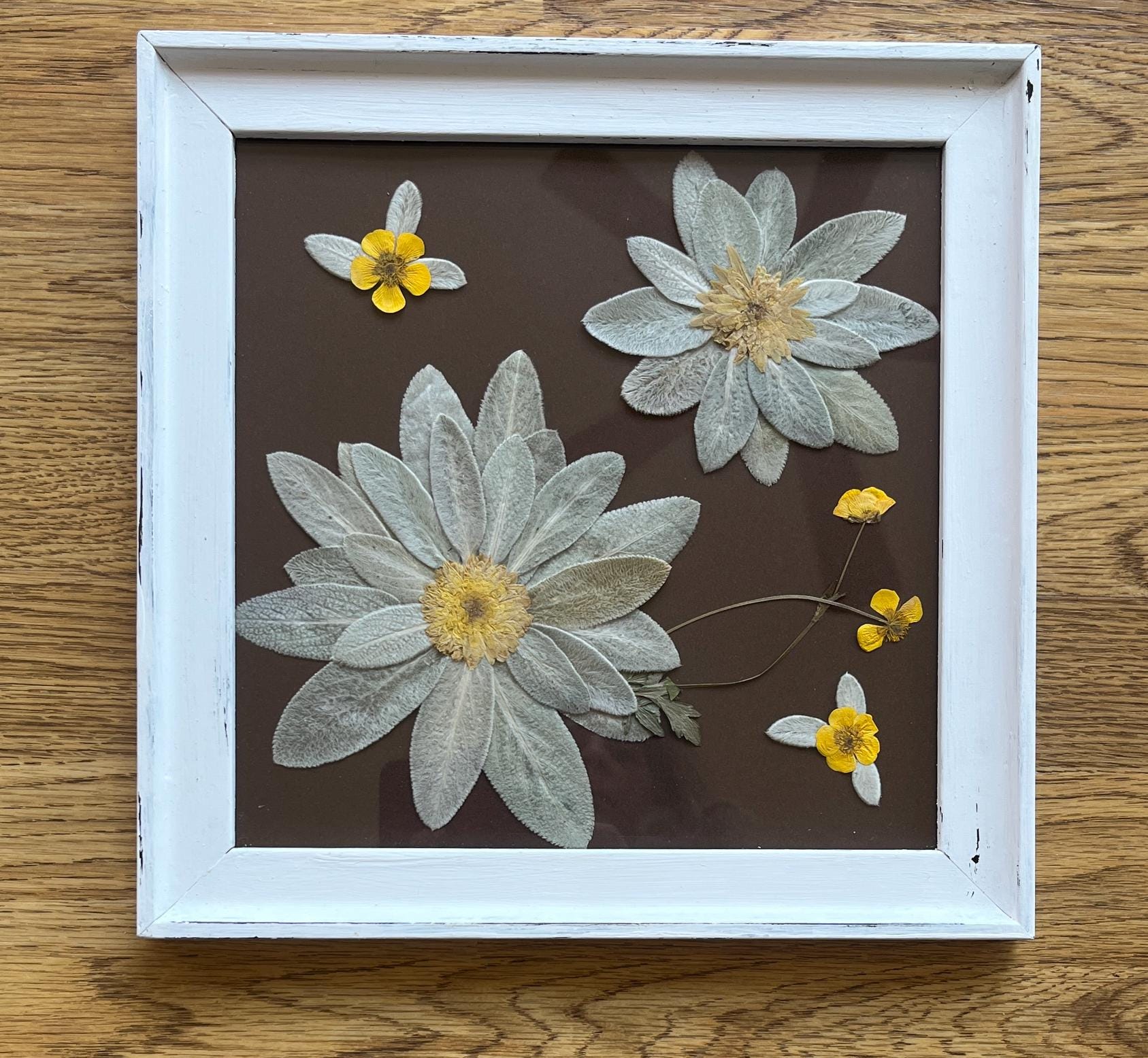Lambs ear pressed flower design with real pressed flowers for a unique gift for nature lover gift with real pressed flowers framed art